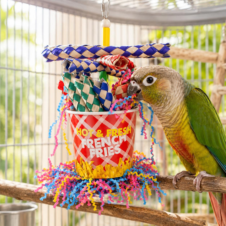 Bonka Bird Toys 2306 French Fries Small Medium Bird Toy Foraging Bamboo Trap Cup Paper Shred Cockatiels Parakeets Conures and Other Similar Sized Birds