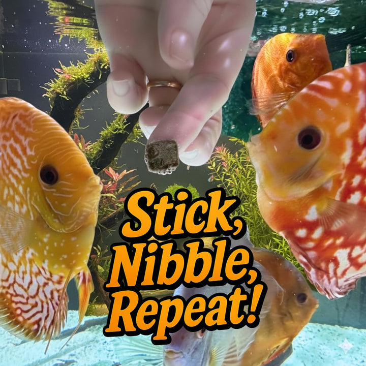 Super Cichlids Freeze-Dried Color Boost Blackworms Fish Food (15g)