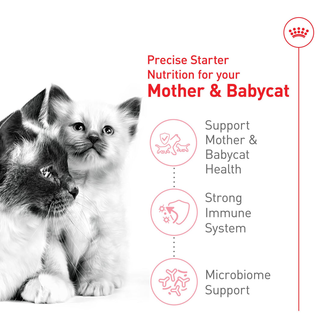 Royal Canin Feline Health Nutrition Mother &amp; Babycat Queen Dry Cat Food, 3 lb Bag