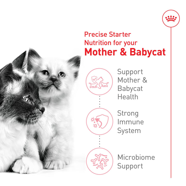 Royal Canin Feline Health Nutrition Mother &amp; Babycat Queen Dry Cat Food, 3 lb Bag