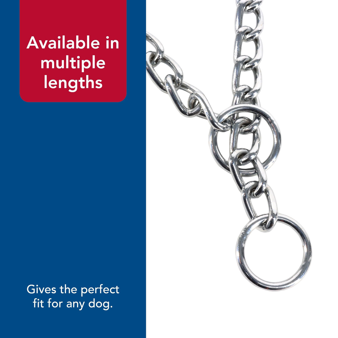Coastal Pet Titan Chain Training Dog Collar, 4 mm x 24"