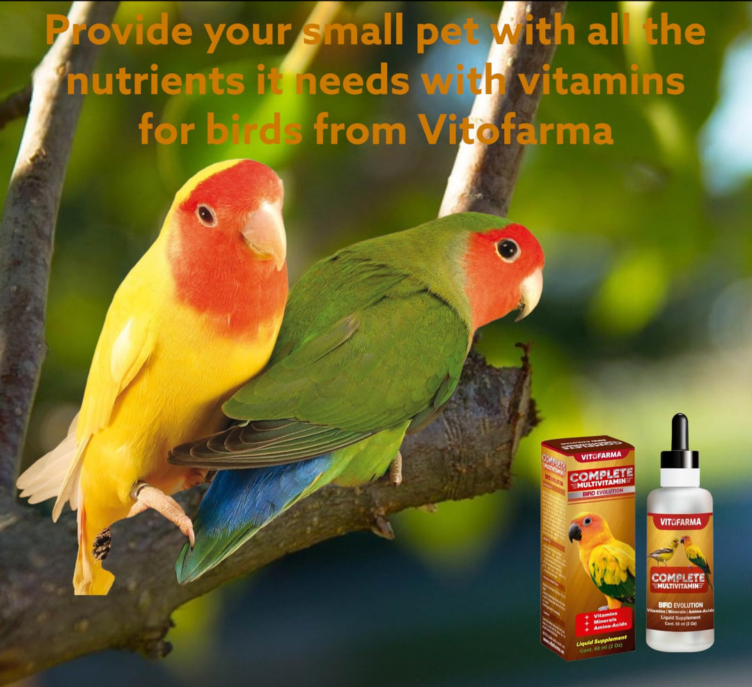 VITOFARMA Multi-Vitamin for Birds, High-Potency Vitamin &amp; Mineral Supplement for Pet Birds 2.0 Ounce