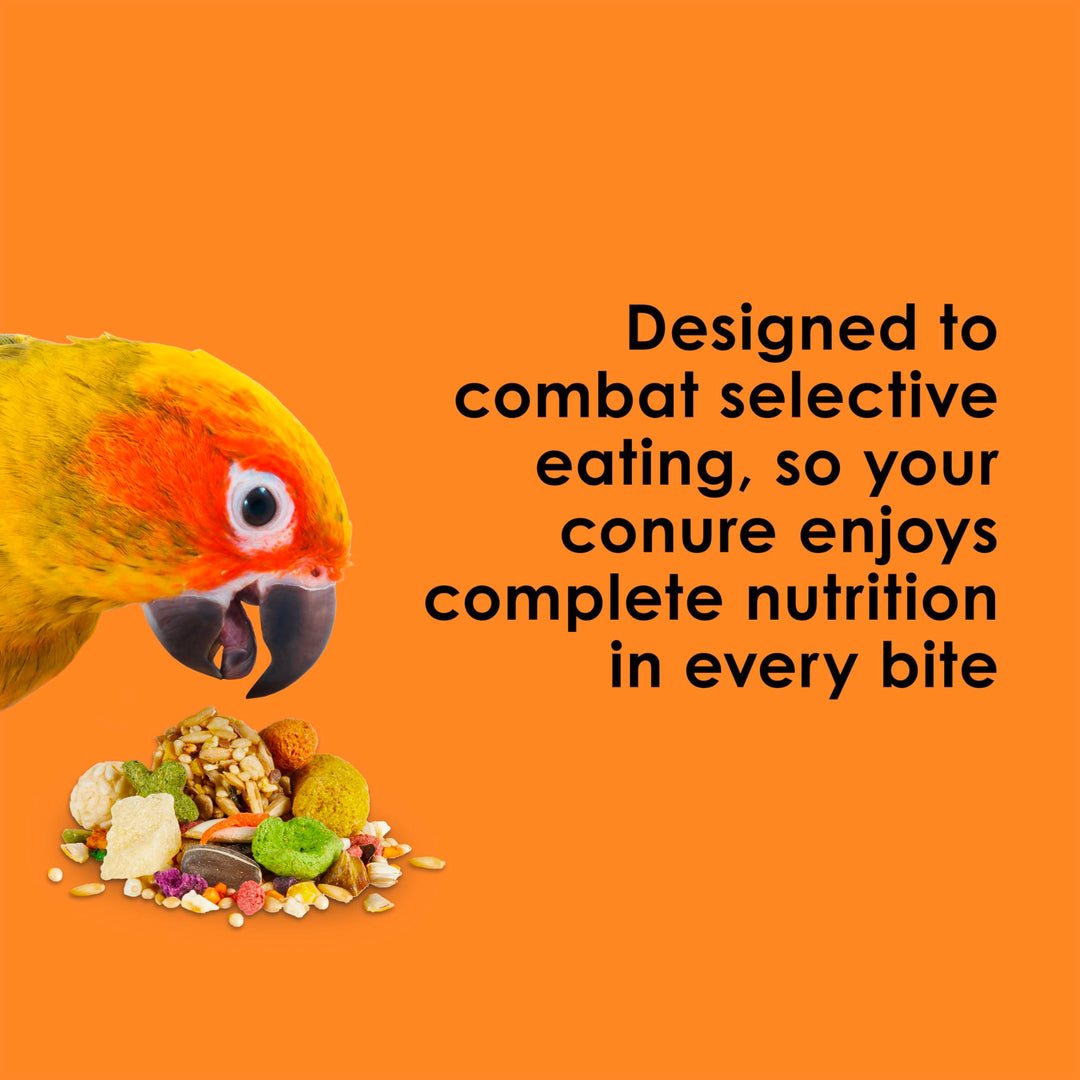 Kaytee Fiesta Conure Bird Food, Nutritious Fun Blend, 4.5 Pounds