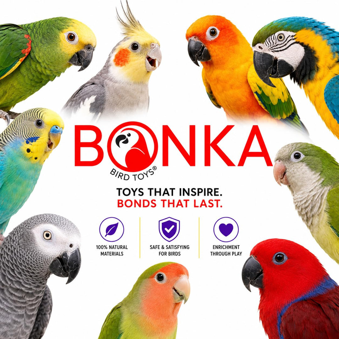 Bonka Bird Toys 1925 Cake Natural Sola Shred Forage Chew Treat Parrot Parrotlet Budgie Cockatiel Parakeets and Other Similar Birds