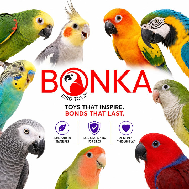 Bonka Bird Toys 1925 Cake Natural Sola Shred Forage Chew Treat Parrot Parrotlet Budgie Cockatiel Parakeets and Other Similar Birds