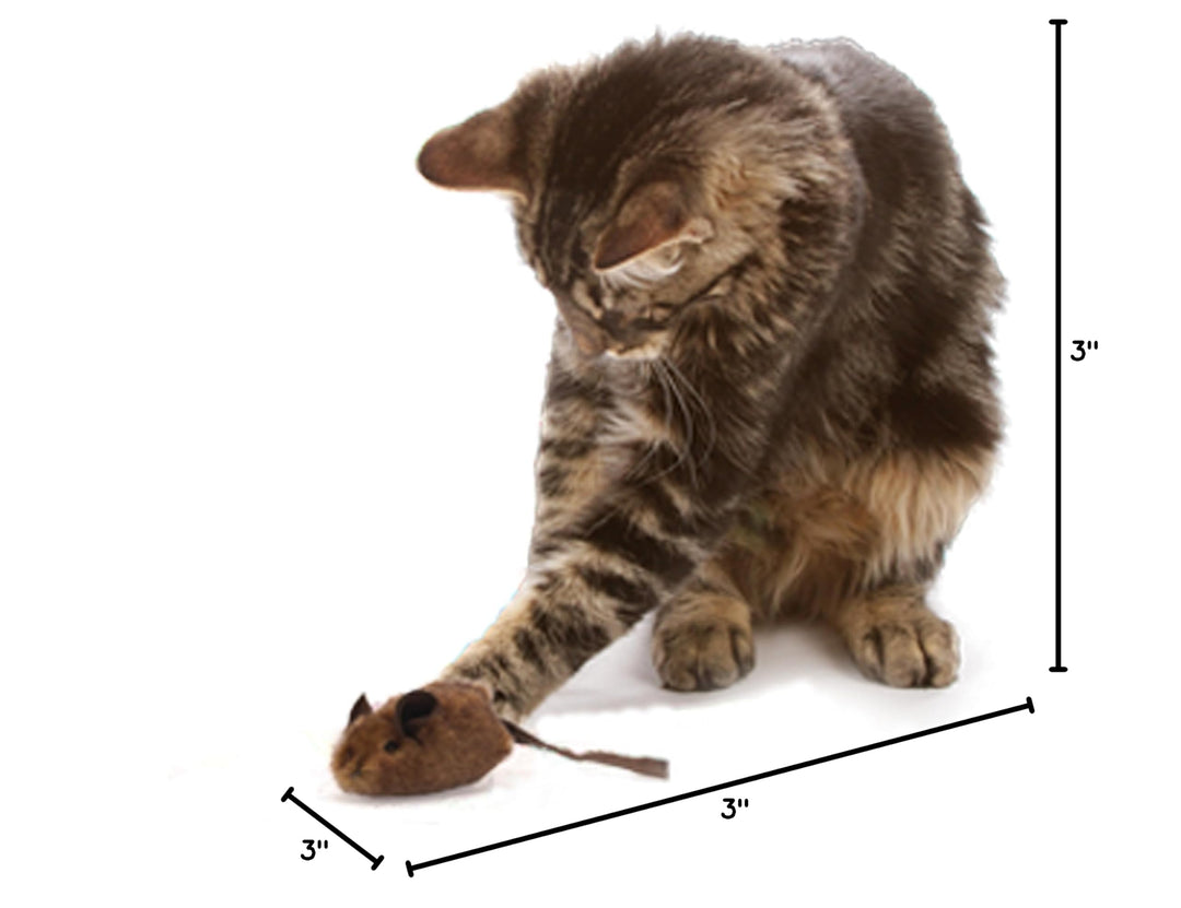 OurPets Play-N-Squeak Mouse Hunter Cat Toys with Catnip