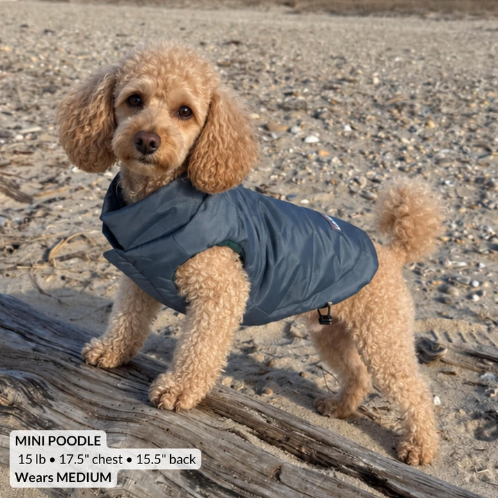 DJANGO Reversible Puffer Dog Coat &amp; Warm Winter Jacket - Blue, Medium
