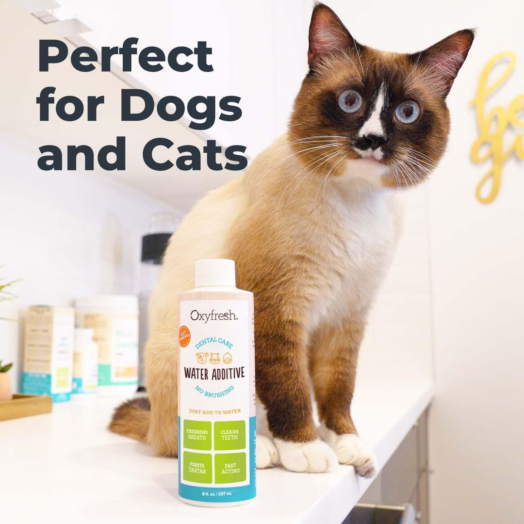 Oxyfresh Premium Pet Dental Care Solution Pet Water Additive: Best Way to Eliminate Bad Dog Breath and Cat Bad Breath - Fights Tartar &amp; Plaque - So Easy, Just Add to Water! Vet Recommended 16 oz.