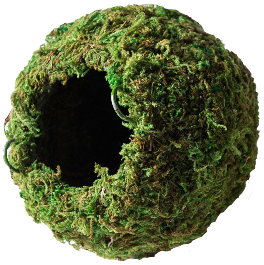 Galápagos (05346) Mossy Cave Hide, 4", Green
