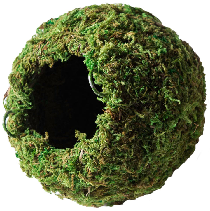 Galápagos (05346) Mossy Cave Hide, 4", Green