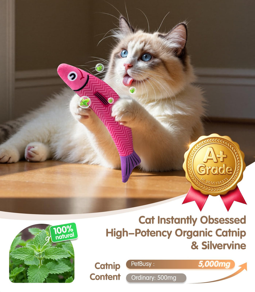 PetBusy Cat Toys with [5000 mg A+Natural Catnip &amp; Silvervine] Kicker Fun