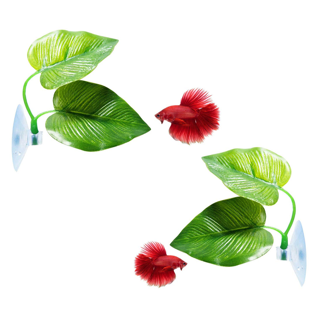 CousDUoBe 2 Pack Betta Fish Leaf Pad Improves Betta&