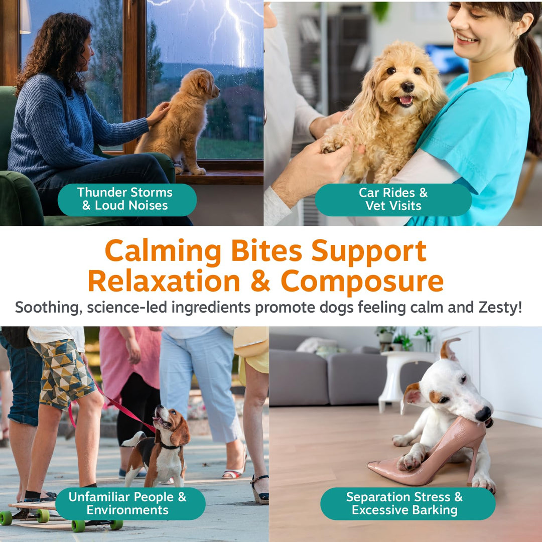 Zesty Paws Puppy Calming Chews for Dogs - Puppy Essentials, Turkey, 90 Ct