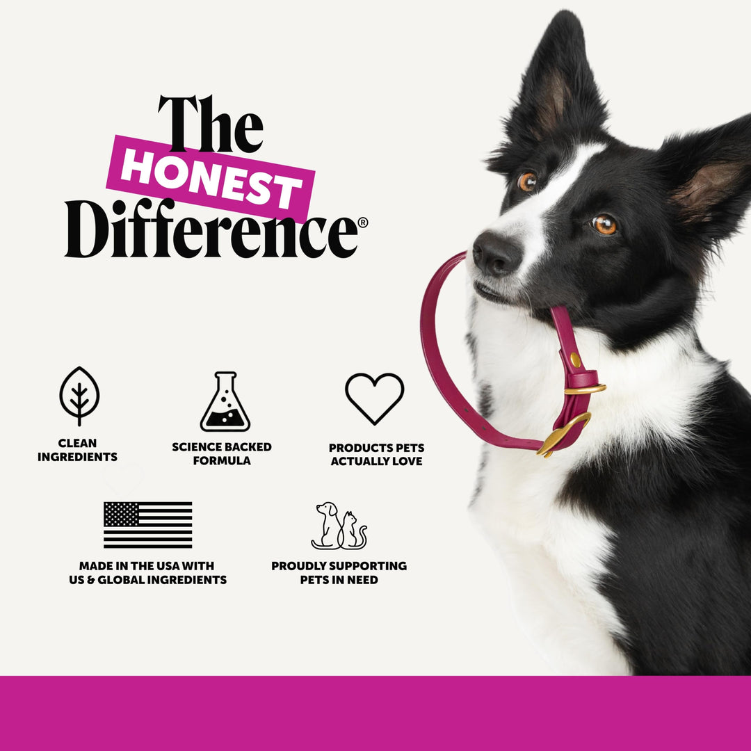 Pet Honesty Vet Recommended 10-in-1 Dog Multivitamin, 90 Ct, Chicken