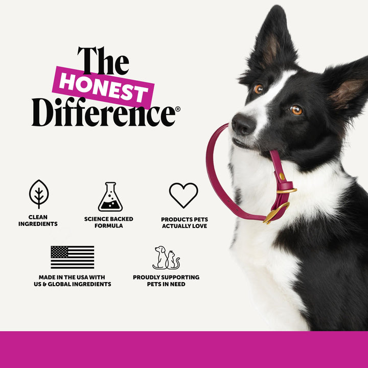 Pet Honesty Vet Recommended 10-in-1 Dog Multivitamin, 90 Ct, Chicken