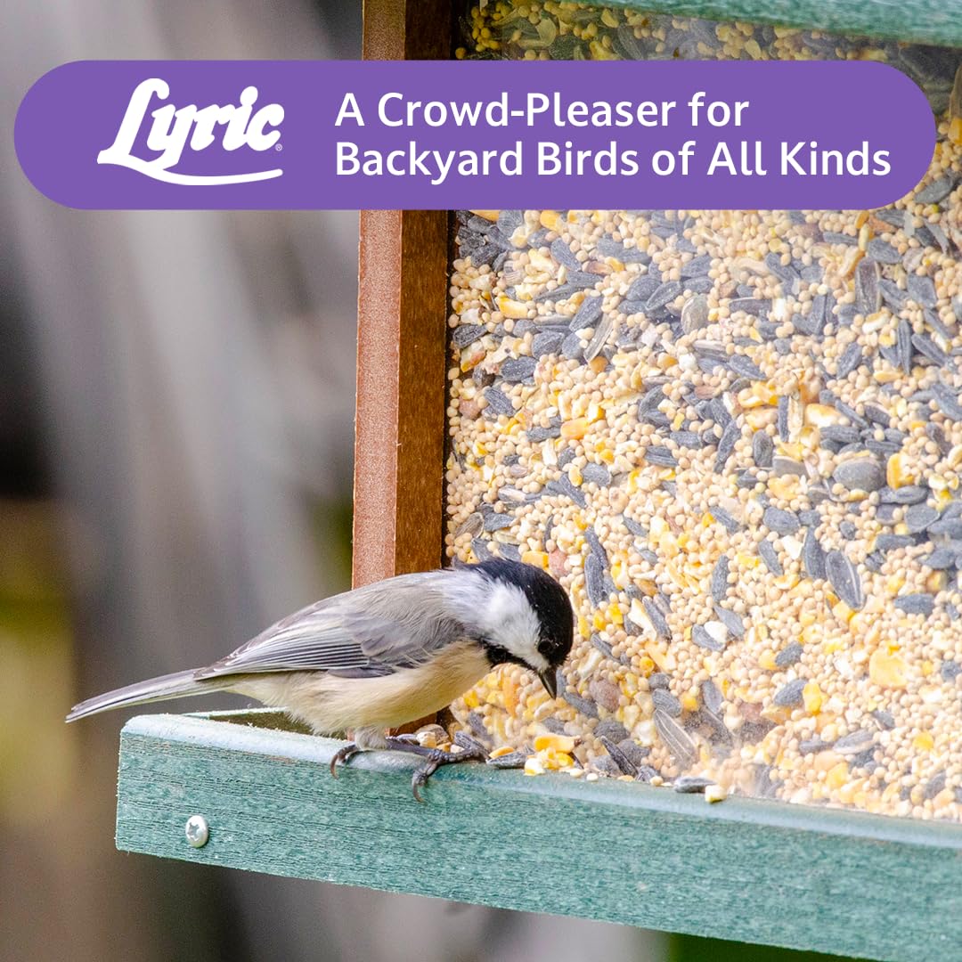 Lyric Wild Bird Mix - Includes Corn, Nuts, and Wild Bird Seed for Outside Feeders, Attracts Doves, Jays and Many More, 40 lb Bag