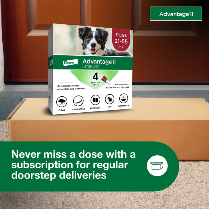 Advantage II Large Dog Topical Flea Treatment &amp; Prevention, 4ct