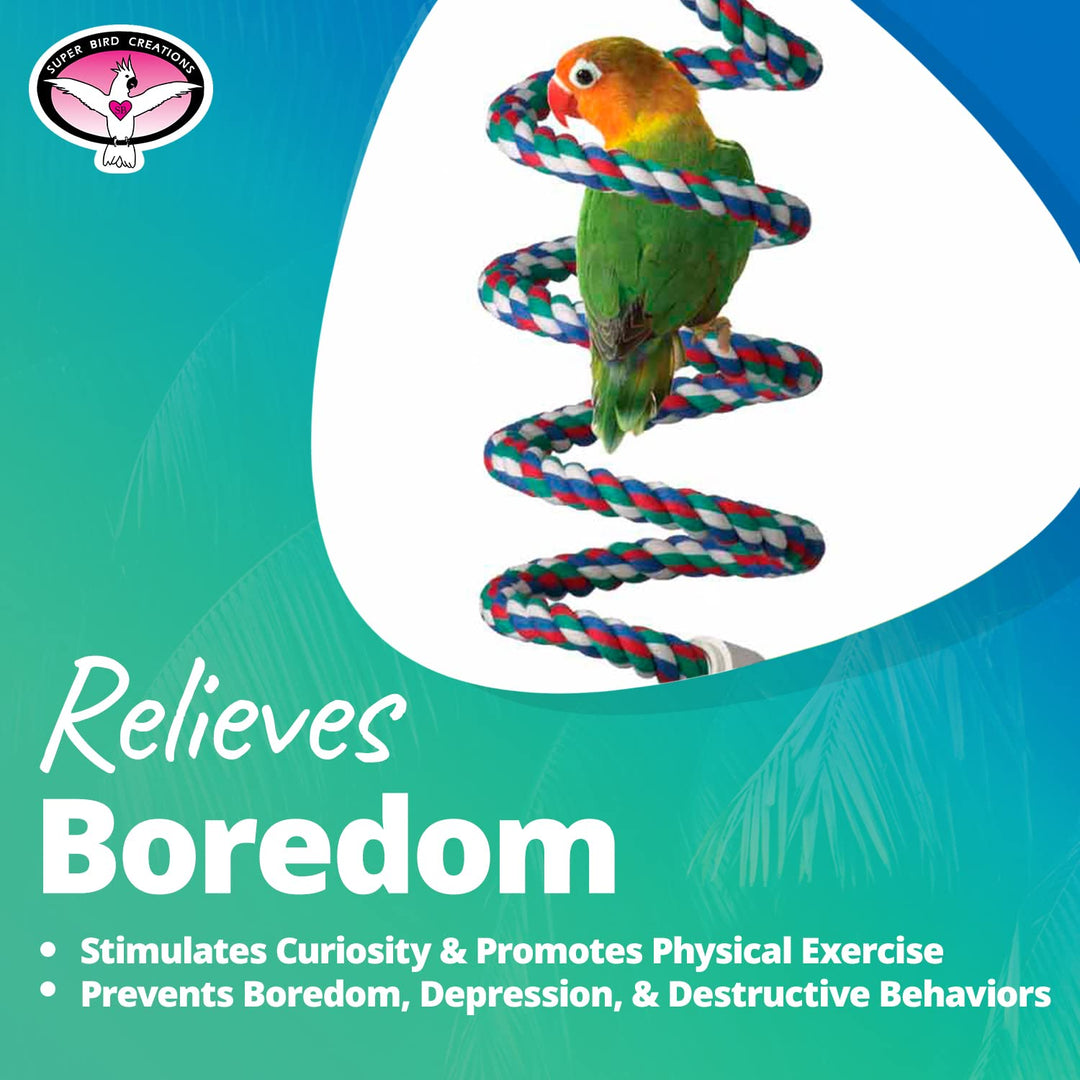 Super Bird Creations SB323 Small Bungee Bird Toy - Rope Perch for Canary, Parakeets, Cockatiels, Finch, Lovebirds - Colorful Hanging Perch - Enriching Bungee Toy for Small Birds &amp; in Bird Cages