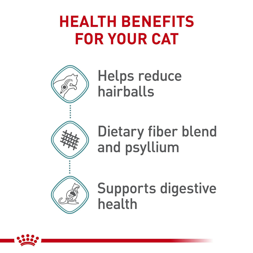 Royal Canin Feline Care Nutrition Hairball Care Adult Dry Cat Food, 6 lb Bag