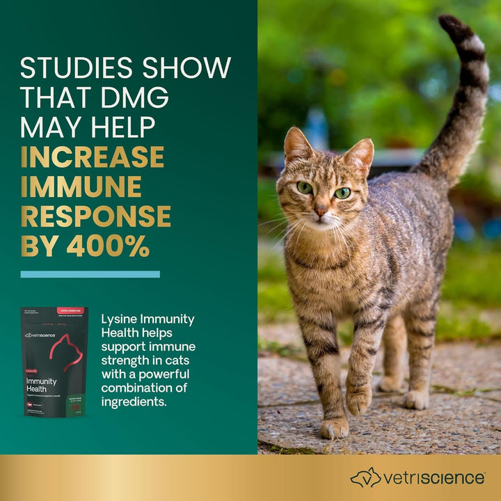 VetriScience Lysine Immunity Health Chews for Cats, Chicken, 90 Count