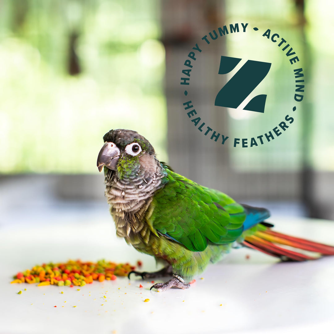 ZuPreem FruitBlend Cockatiel Pellets, Medium Bird Food, 2 lb, Pack of 2