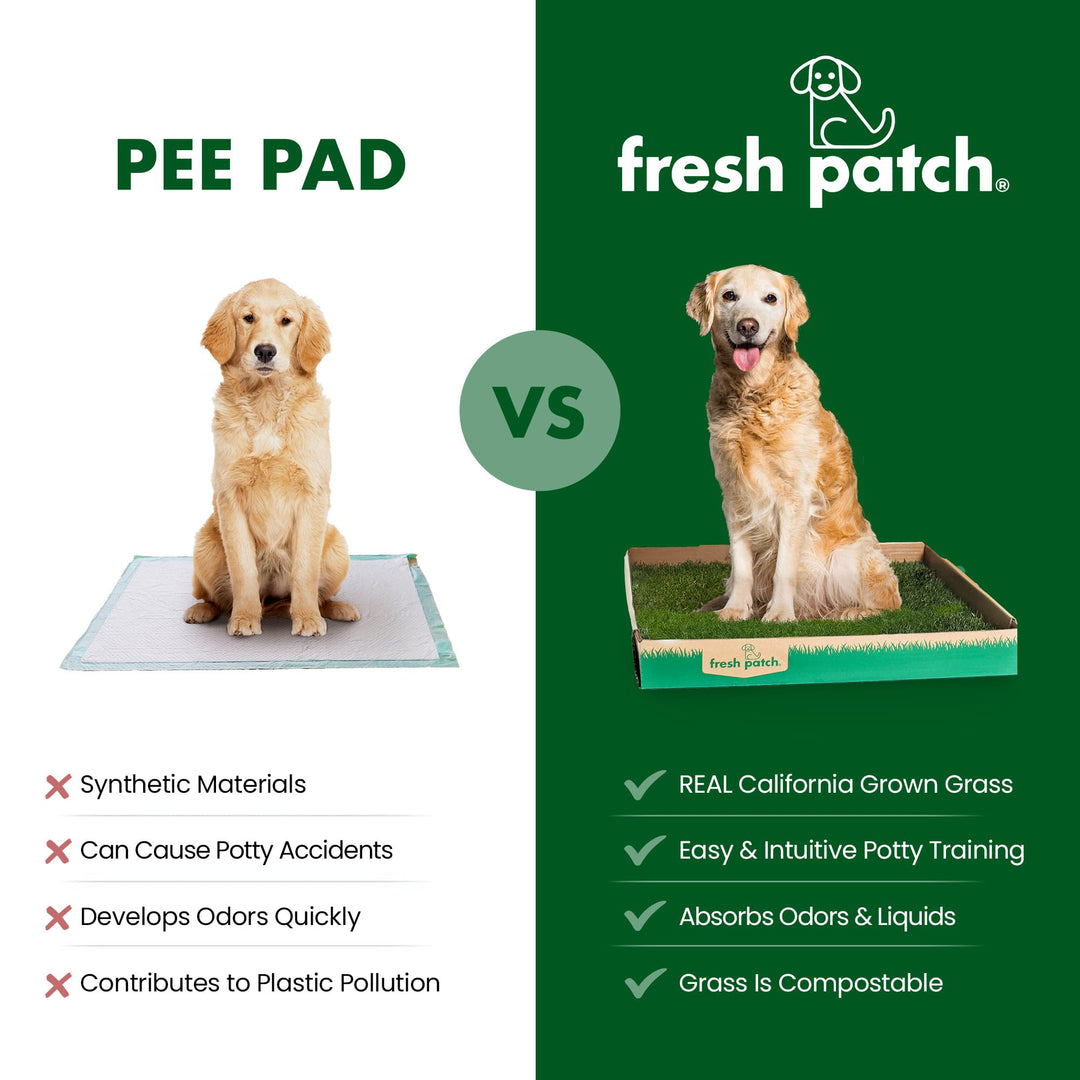 Fresh Patch Real Grass Patch for Dogs, Cats, and Small-Medium Pets Under 15 Pounds – Disposable Pet Grass Pee Pads – Indoor and Outdoor Potty Training Mat (16 Inches x 24 Inches)
