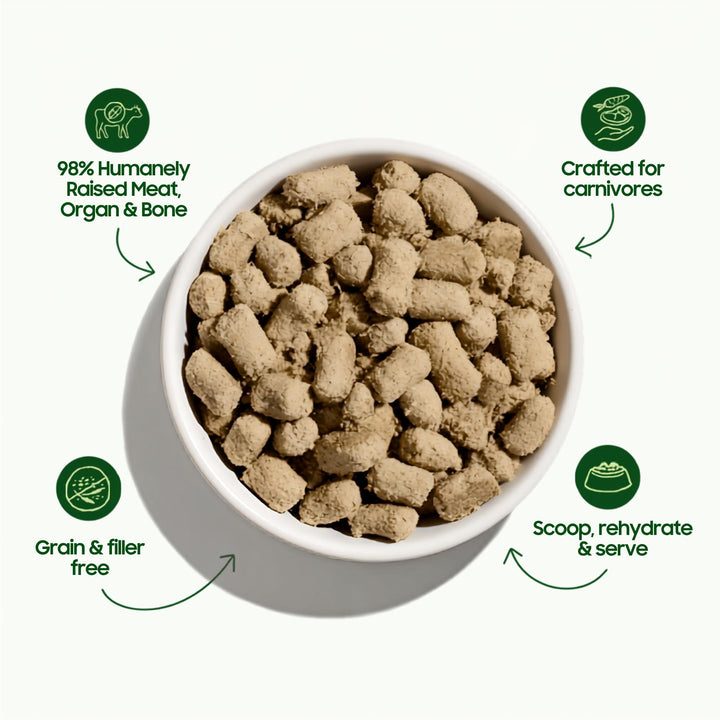 smallbatch Freeze Dried Raw Cat Food, High Protein Chicken Recipe, 10 oz
