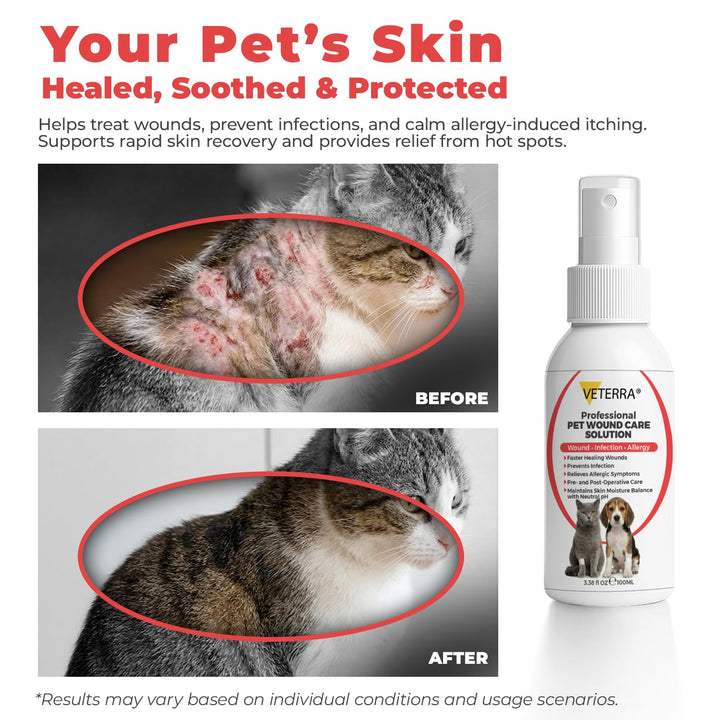 Veterra Dog and Cat Wound Care Spray for Dogs &amp; Cats – Vet Recommended Skin Cleansing Spray, Helps Clean Minor Cuts &amp; Scratches, Supports Skin Hygiene, Gentle No-Sting Formula - 3.38 Oz 100 Ml