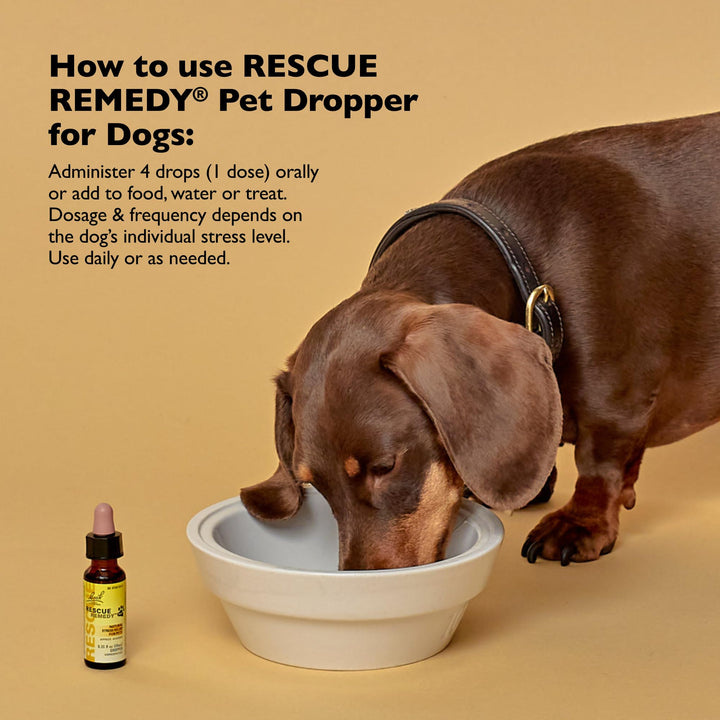 RESCUE Remedy Pet Dropper for Dogs - 20 mL - Stress &amp; Tension Support for Dogs with Bach Natural Flower Essences - Sedative-Free, Homeopathic Liquid Formula - for All Breeds, Ages &amp; Weights