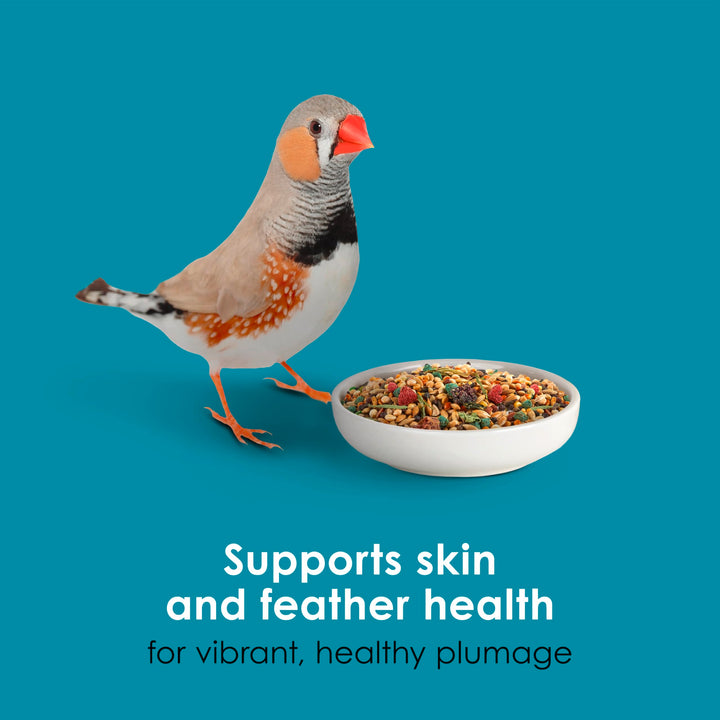 Kaytee Forti-Diet Pro Health Nourish+Protect Canary &amp; Finch Food, 2 Lb