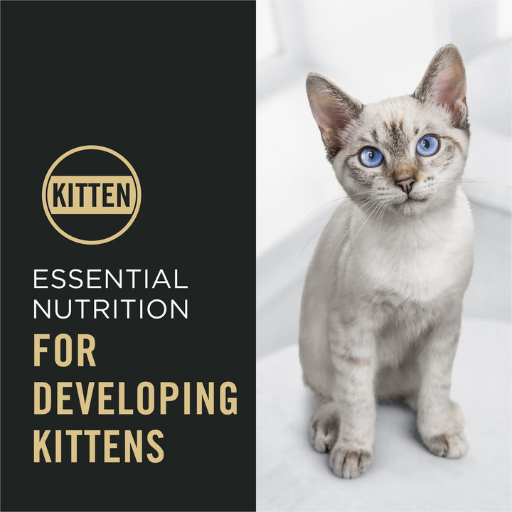 Purina Pro Plan Complete Essentials Kitten Food, Chicken &amp; Rice, 7 lb Bag