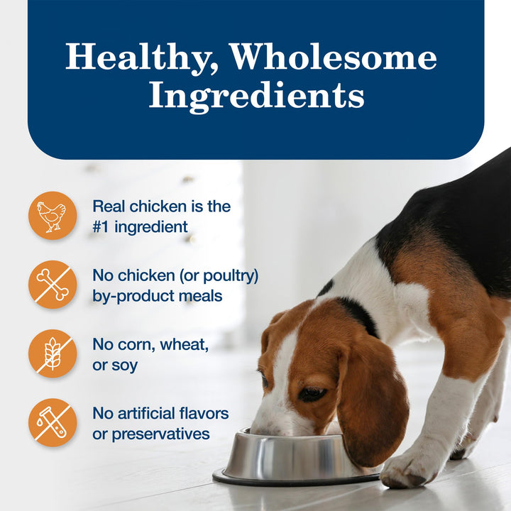 Blue Buffalo Homestyle Recipe Chicken Adult Wet Dog Food, 12.5 oz, 12 ct