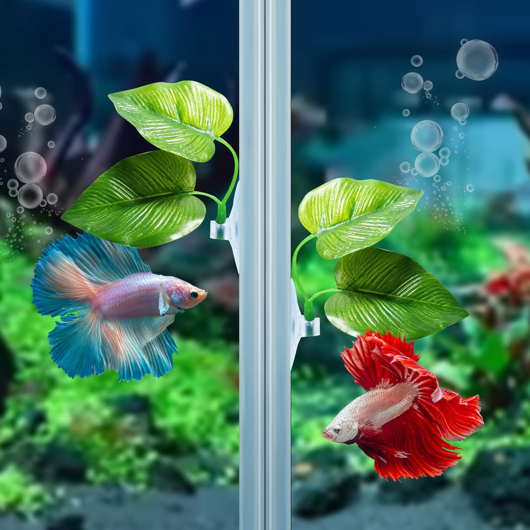 CousDUoBe 2 Pack Betta Fish Leaf Pad Improves Betta&