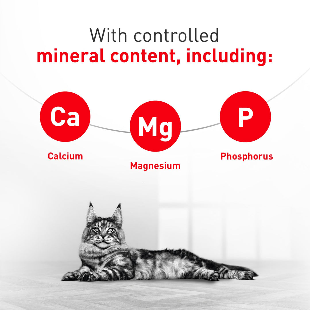ROYAL CANIN Veterinary Diet Feline Urinary SO Adult Dry Cat Food, 7.7 lb Bag