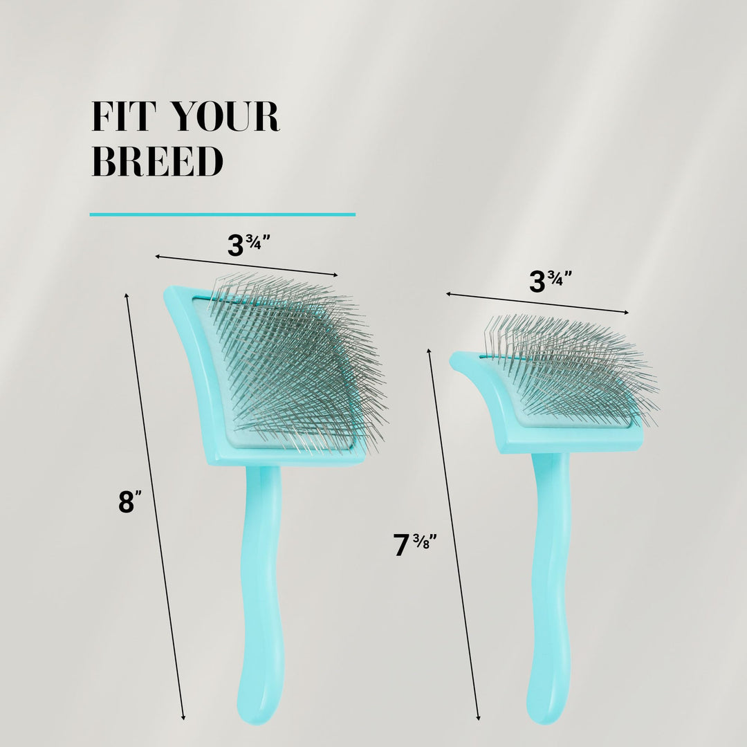 Chris Christensen Big G Dog Slicker Brush for Dogs (Goldendoodles, Labradoodles, Poodles), Groom Like a Professional, Fluff Detangle Style, Saves Time Energy, Teal, Medium