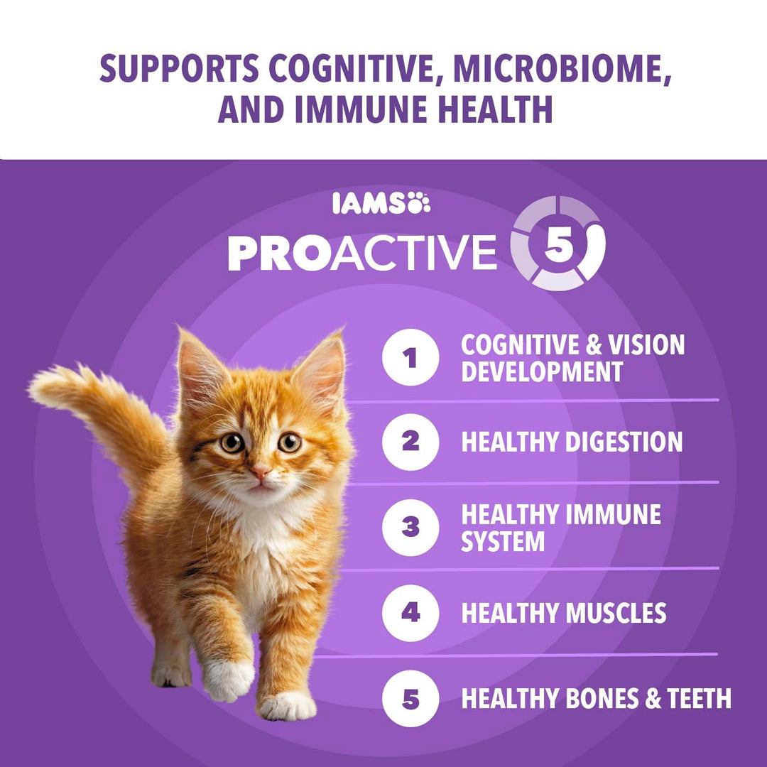 IAMS Proactive Health Healthy Kitten Dry Cat Food, Chicken, 7 lb