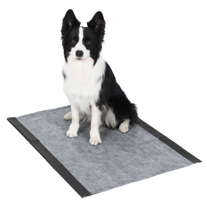 Glad for Pets Giant Activated Carbon Training Pads, 30 x 36 In, 24 Ct, 6-Pk