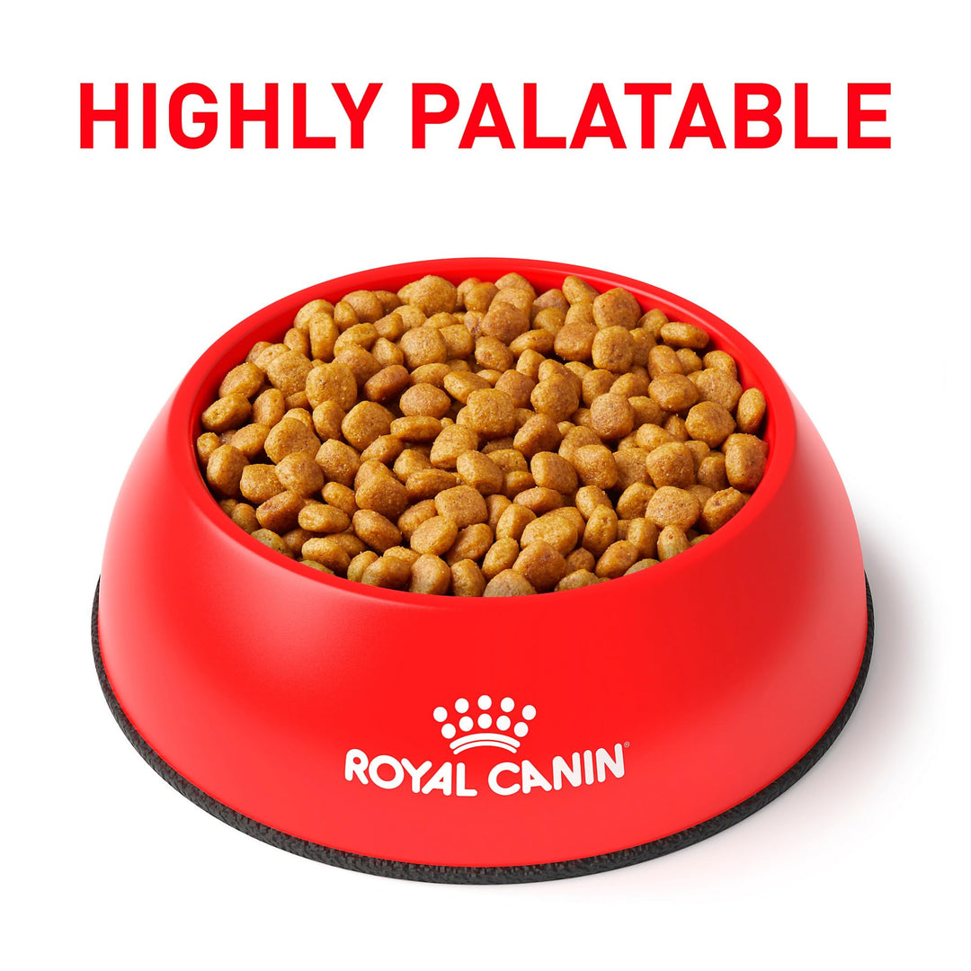 ROYAL CANIN Veterinary Diet Canine Urinary SO Adult Dry Dog Food, 25.3 lb Bag