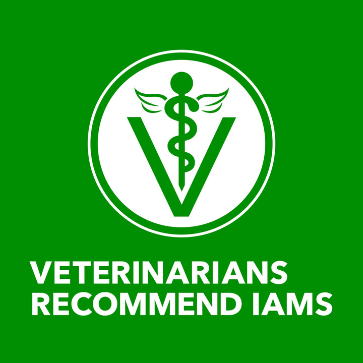 IAMS Proactive Health Ground Wet Dog Food, Chicken, 13 oz, 12 Pack