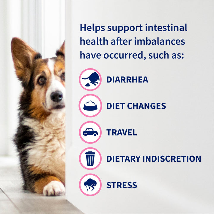 Nutramax Proviable Probiotics for Dogs &amp; Cats, Sprinkle Capsules, 30ct