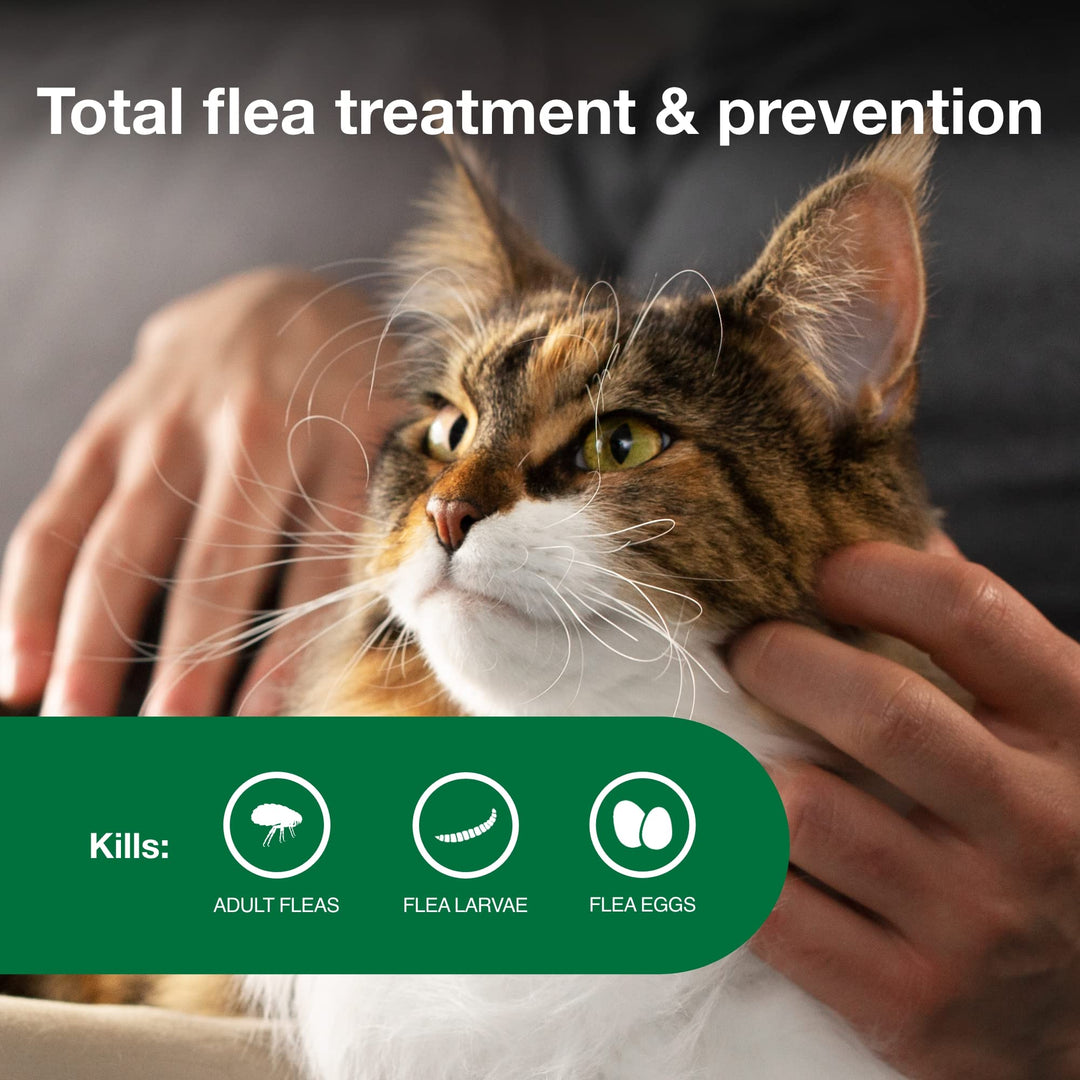 Advantage II Large Cat Topical Flea Treatment &amp; Prevention, 6ct