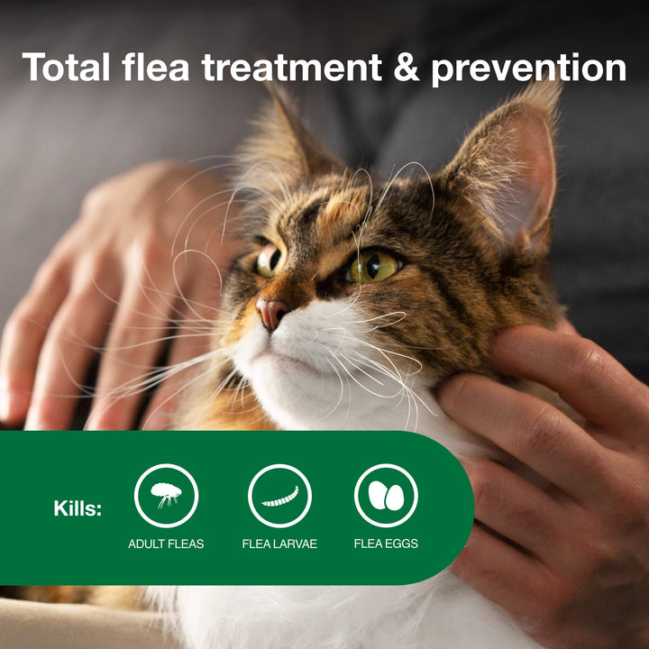 Advantage II Large Cat Topical Flea Treatment &amp; Prevention, 4ct
