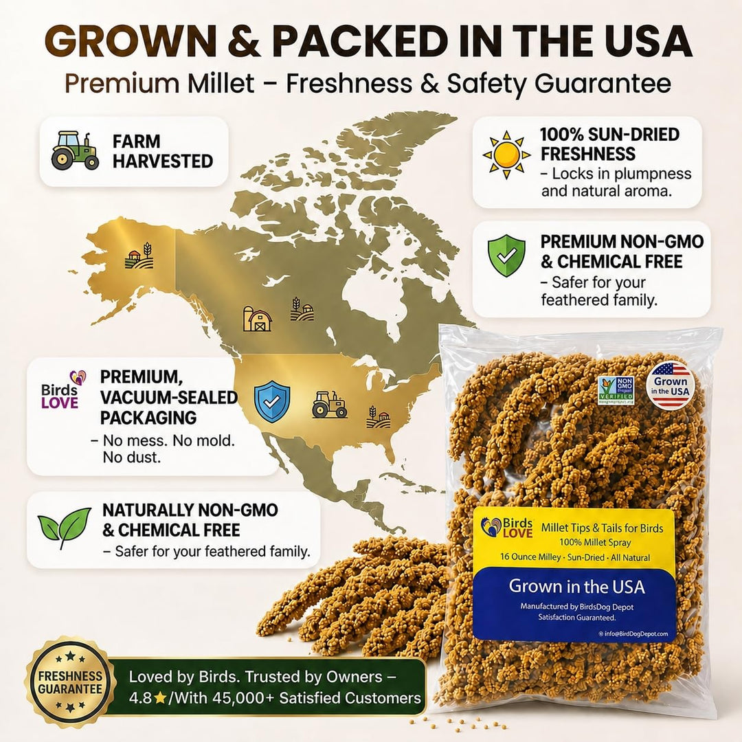 Birds LOVE® Millet Tips &amp; Tails for Birds – Premium Spray Millet Treat, Non-GMO, USA Grown – Natural Bird Food for Parakeets, Cockatiels, Budgies, Lovebirds, Finches, Canaries &amp; Parrots – 1 lb