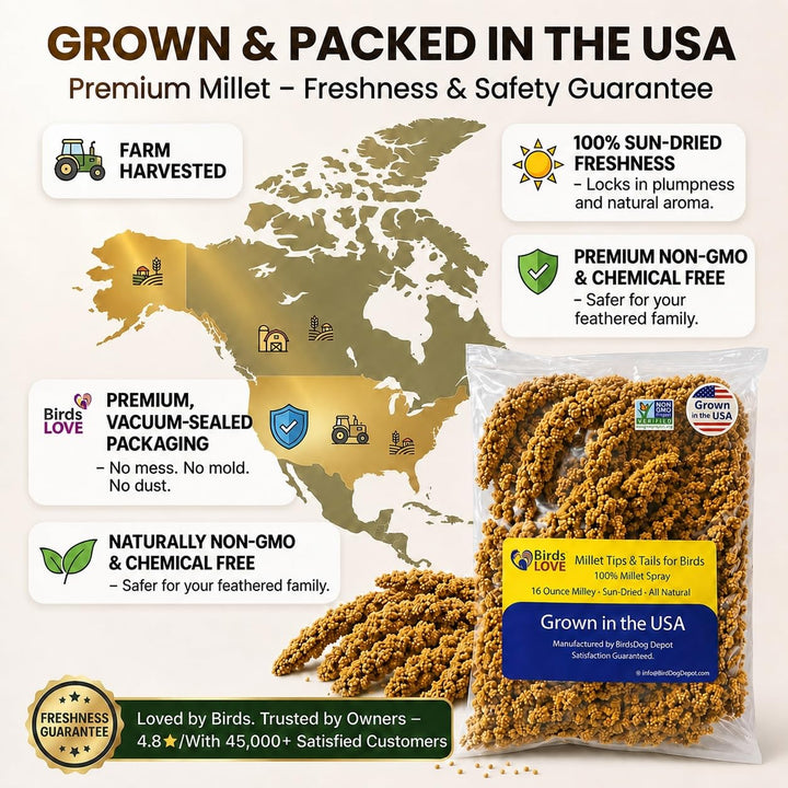 Birds LOVE® Millet Tips &amp; Tails for Birds – Premium Spray Millet Treat, Non-GMO, USA Grown – Natural Bird Food for Parakeets, Cockatiels, Budgies, Lovebirds, Finches, Canaries &amp; Parrots – 1 lb