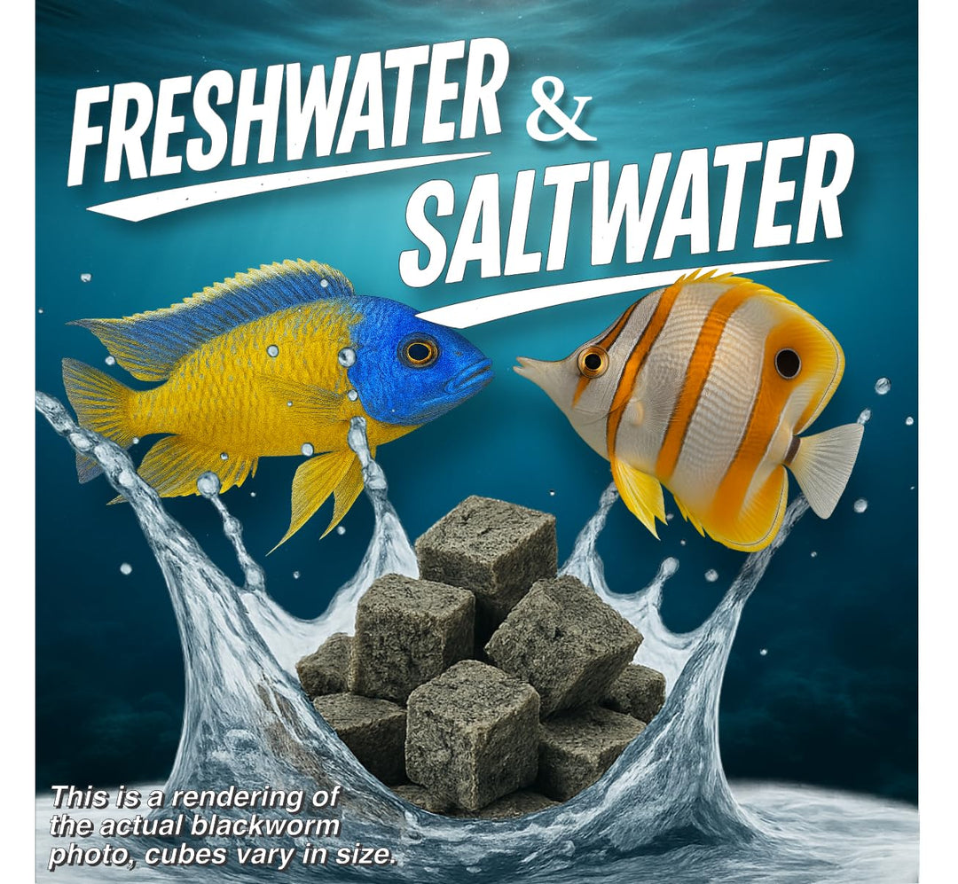 Super Cichlids Freeze-Dried Color Boost Blackworms Fish Food (15g)