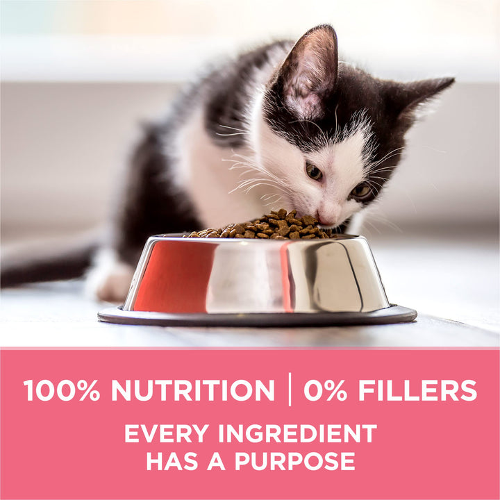Purina ONE High Protein Natural Kitten Dry Cat Food, 16 lb Bag