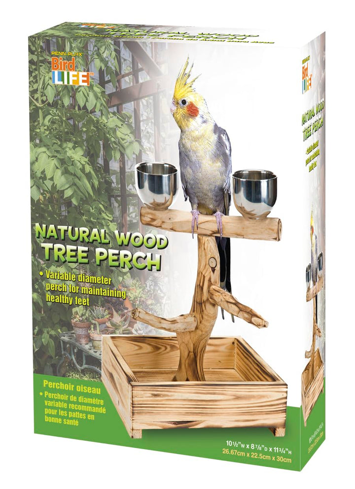 Penn-Plax Bird-Life Natural Wood Bird Perch Tree, Stainless Cups, Medium