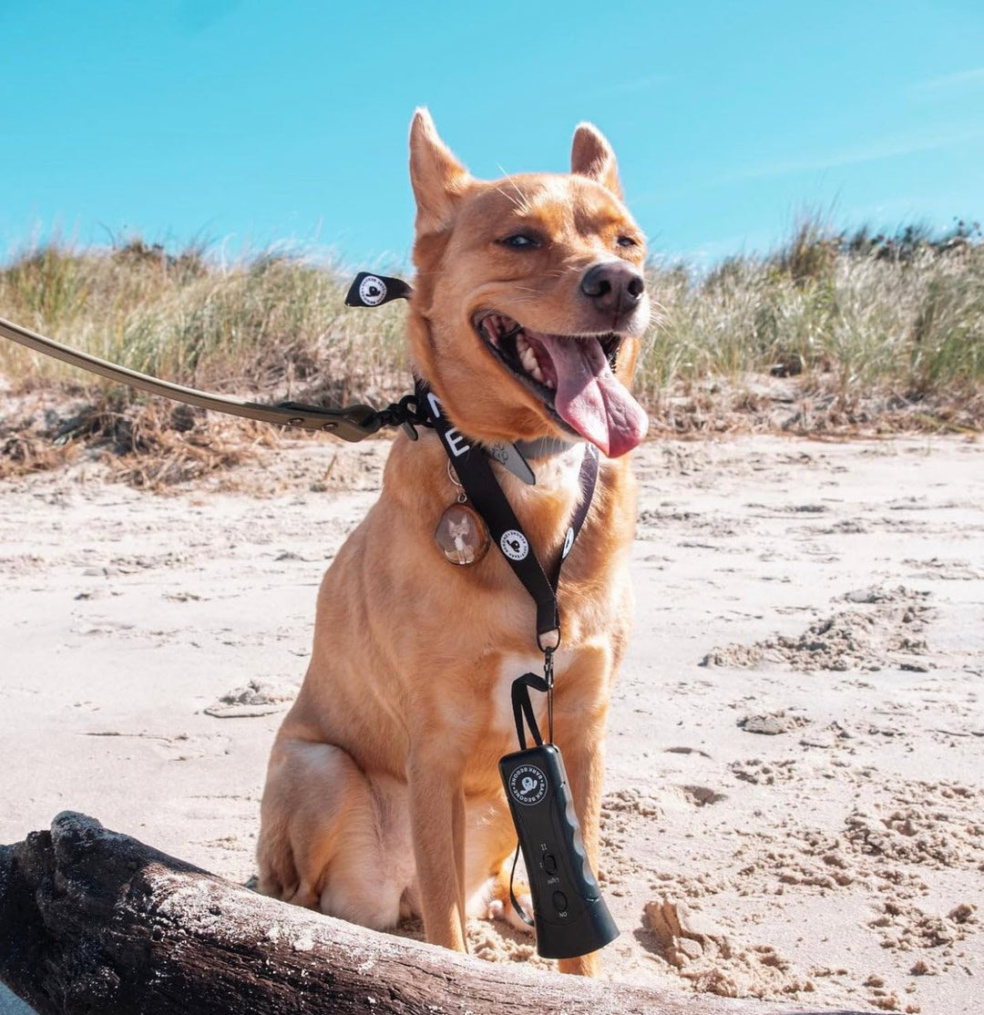 Bark Begone Ultrasonic Dog Bark Deterrent &amp; Behavior Corrector - Stop Barking, Jumping, Aggression Without Yelling -Just Point &amp; Press! Backed by Kevin Harrington from Shark Tank (Bark Begone Classic)