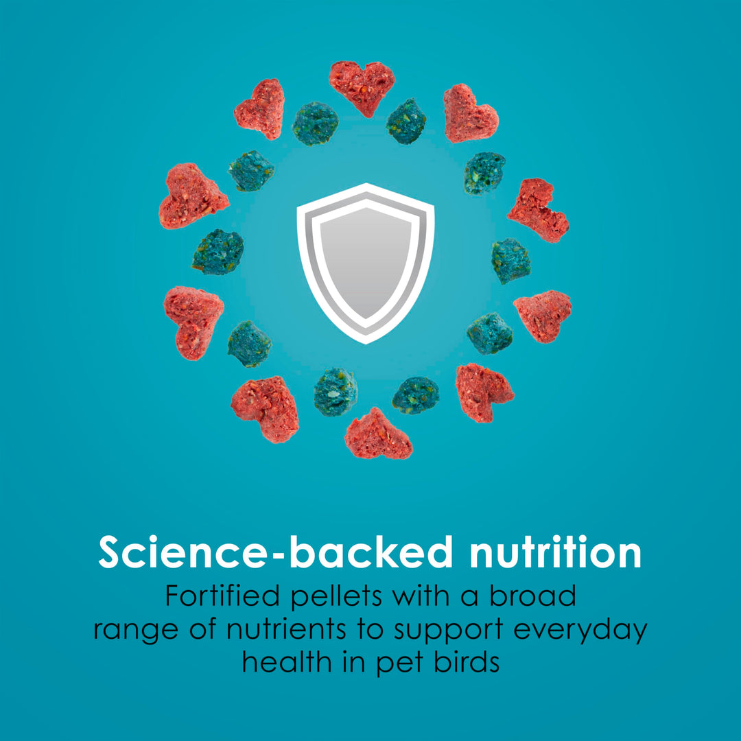 Kaytee Forti-Diet Pro Health Nourish+Protect Canary &amp; Finch Food, 2 Lb
