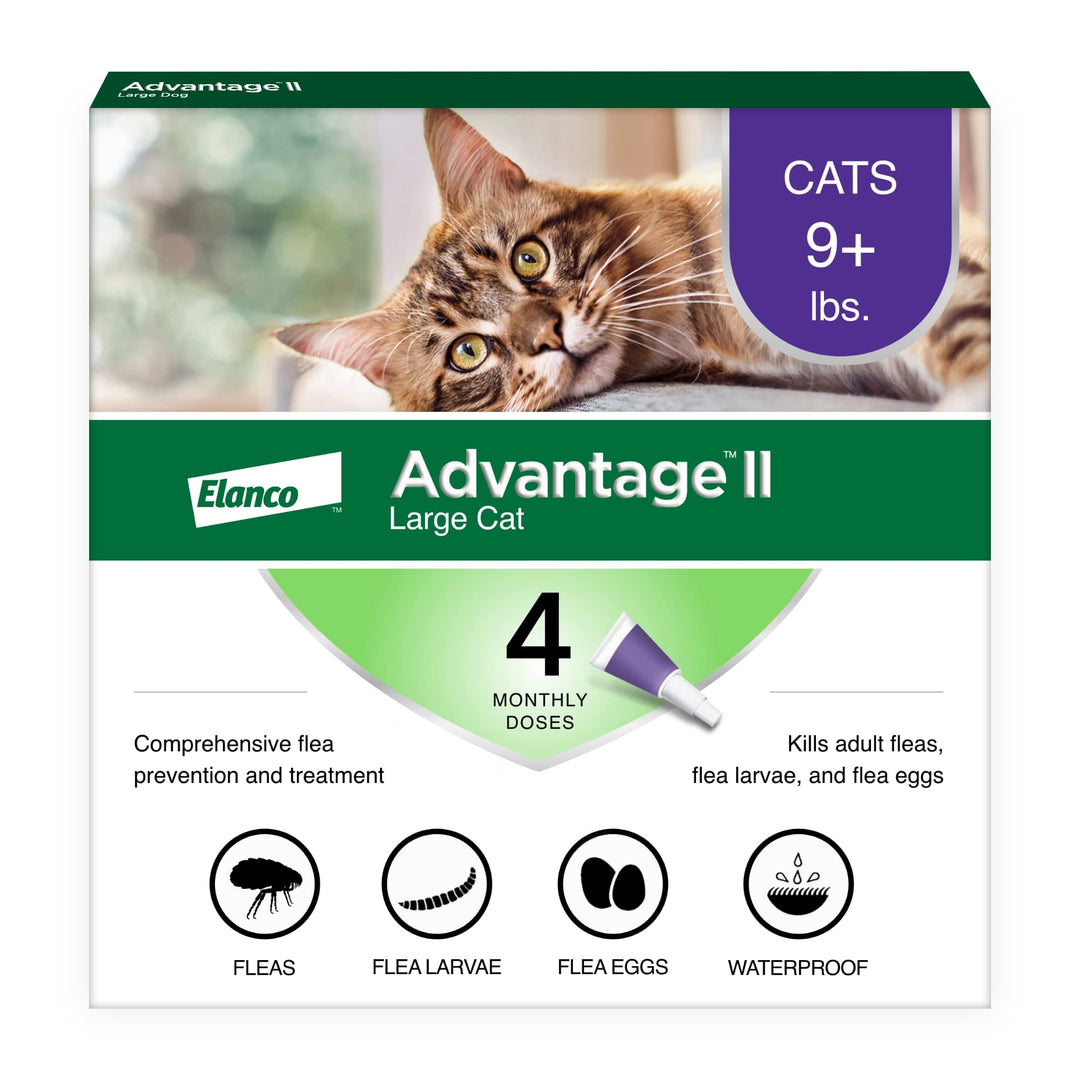 Advantage II Large Cat Topical Flea Treatment &amp; Prevention, 4ct